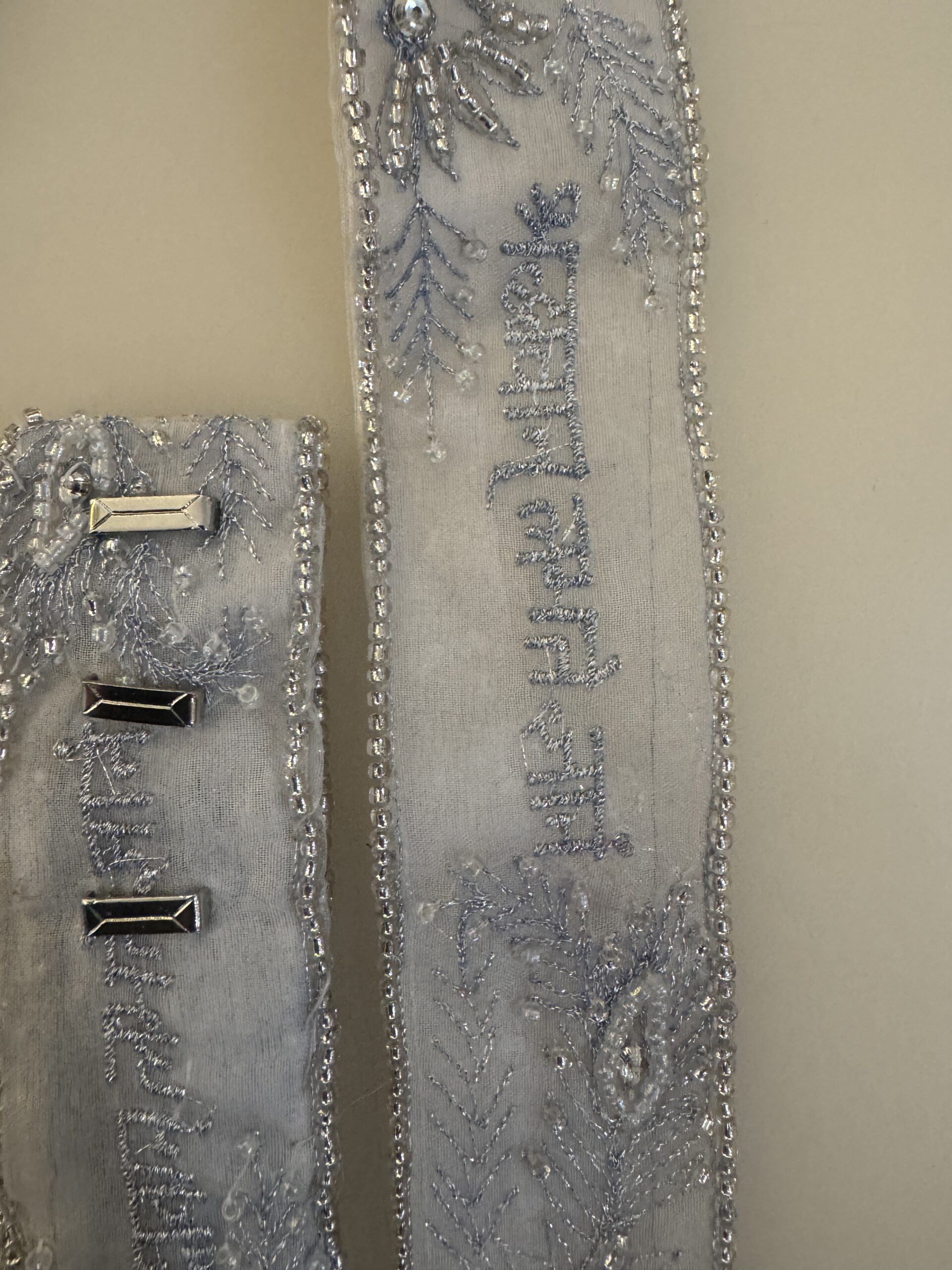 Shraddhā Cloud Corset Gown - Image 13