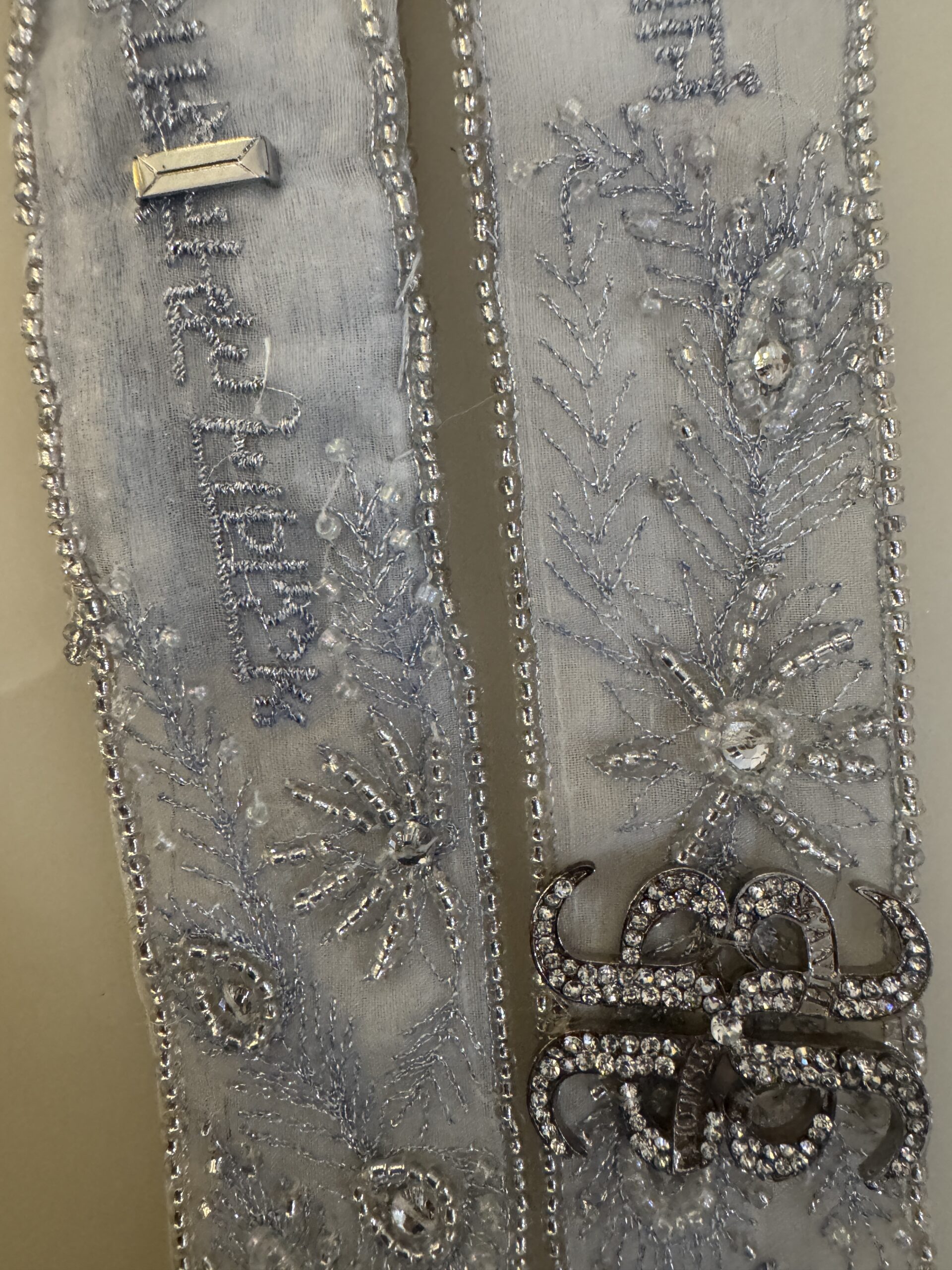 Shraddhā Cloud Corset Gown - Image 11